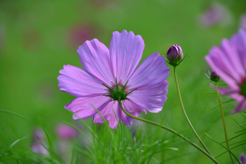 f:id:y3575t3545:20211007214603j:plain