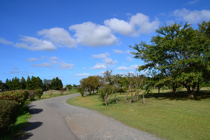 f:id:y3575t3545:20211007214841j:plain