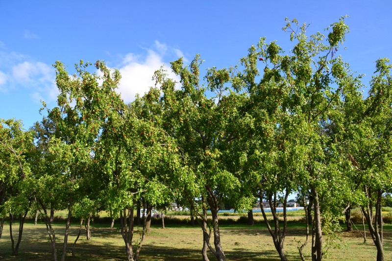 f:id:y3575t3545:20211007214915j:plain