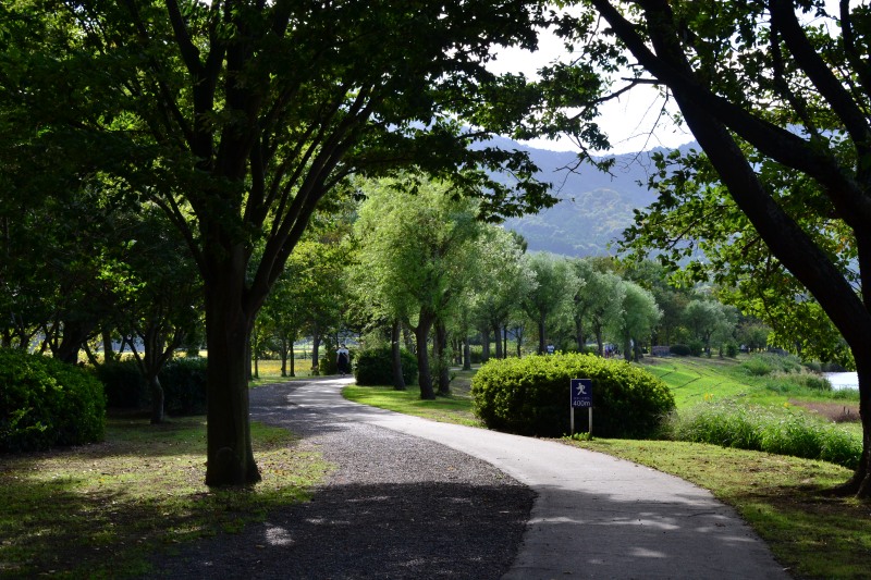 f:id:y3575t3545:20211007215536j:plain