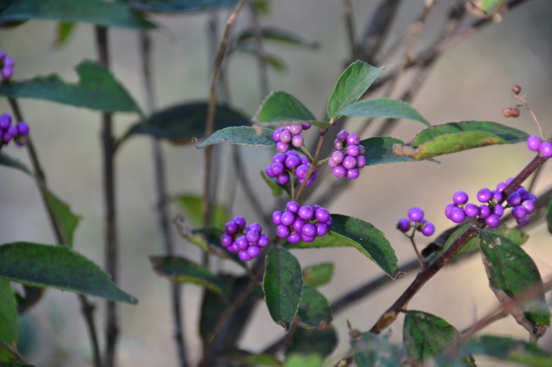 f:id:y3575t3545:20211007215710j:plain