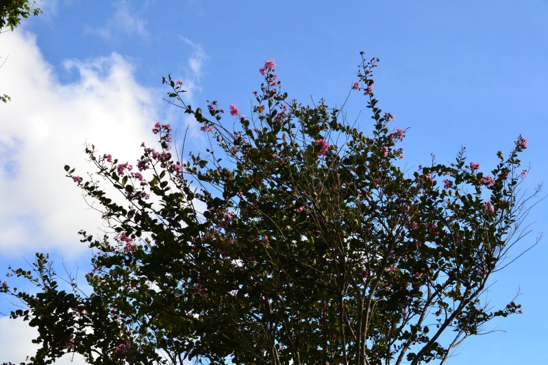 f:id:y3575t3545:20211007215714j:plain