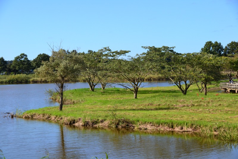 f:id:y3575t3545:20211007215926j:plain