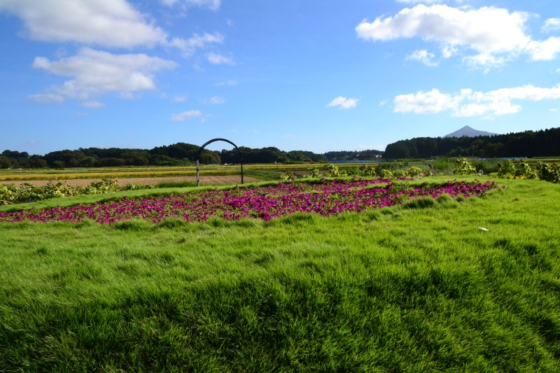 f:id:y3575t3545:20211007220853j:plain