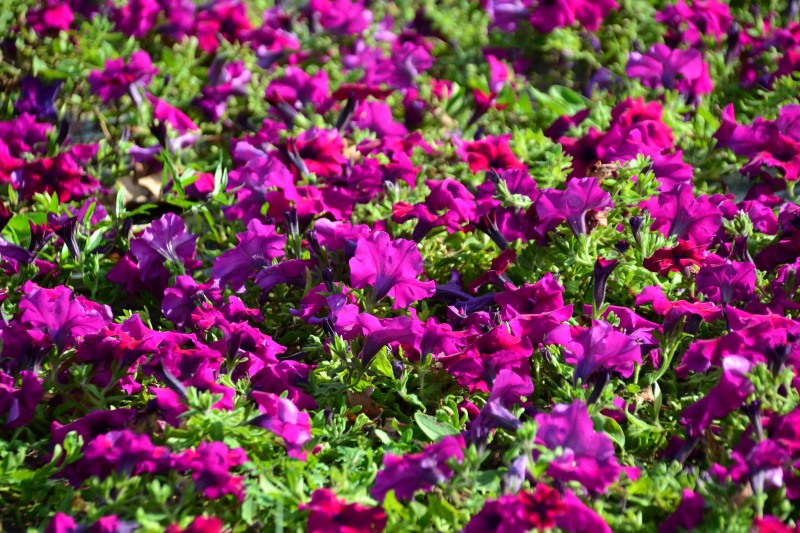 f:id:y3575t3545:20211007221021j:plain