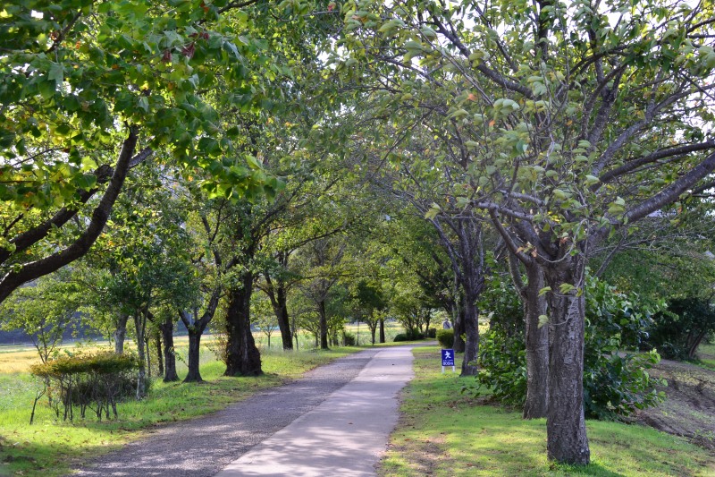 f:id:y3575t3545:20211007221210j:plain