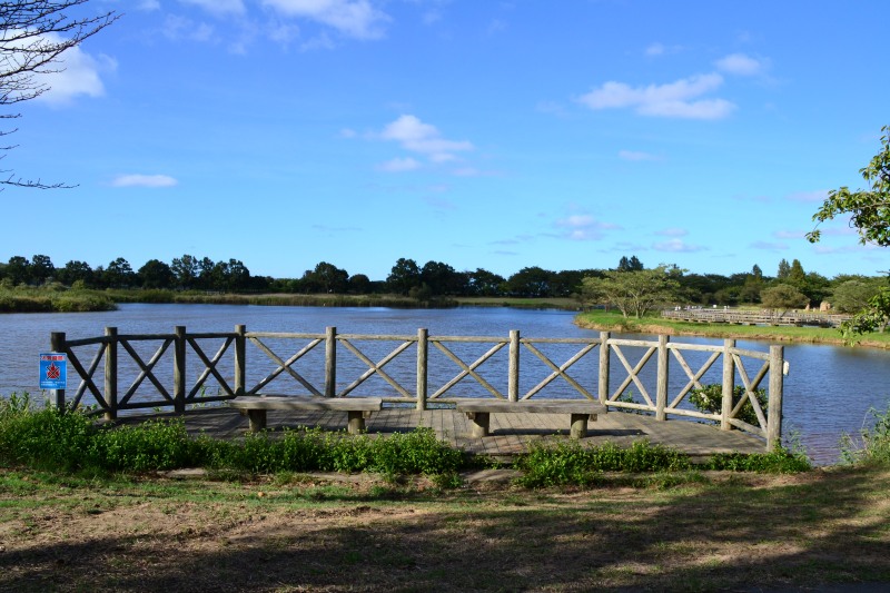 f:id:y3575t3545:20211007221212j:plain