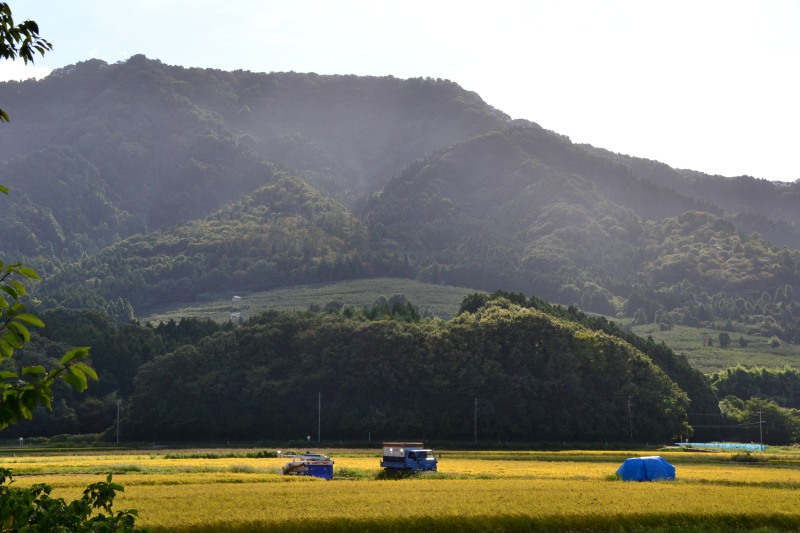 f:id:y3575t3545:20211007221410j:plain