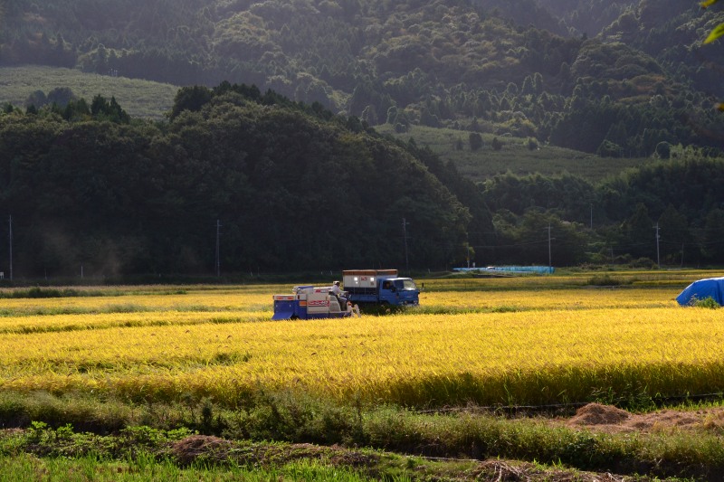 f:id:y3575t3545:20211007221526j:plain