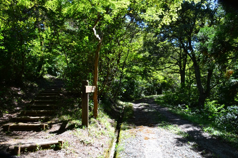 f:id:y3575t3545:20211021112057j:plain