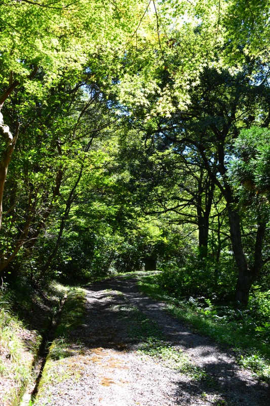 f:id:y3575t3545:20211021112240j:plain