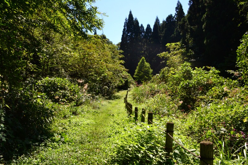 f:id:y3575t3545:20211021112525j:plain