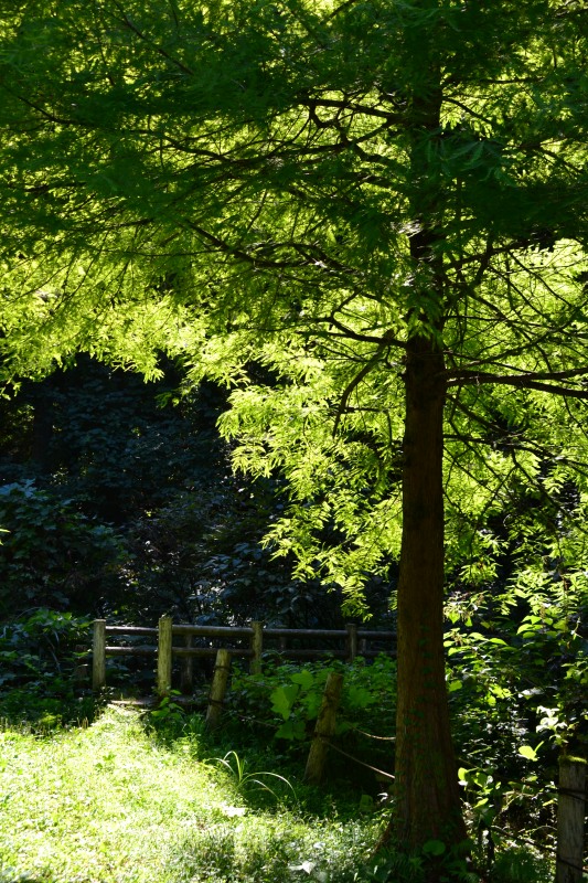 f:id:y3575t3545:20211021112703j:plain