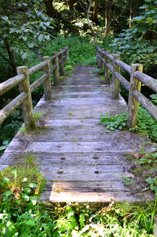 f:id:y3575t3545:20211021112708j:plain