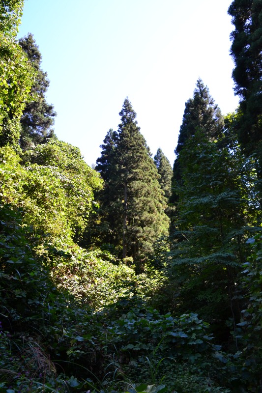 f:id:y3575t3545:20211021112906j:plain