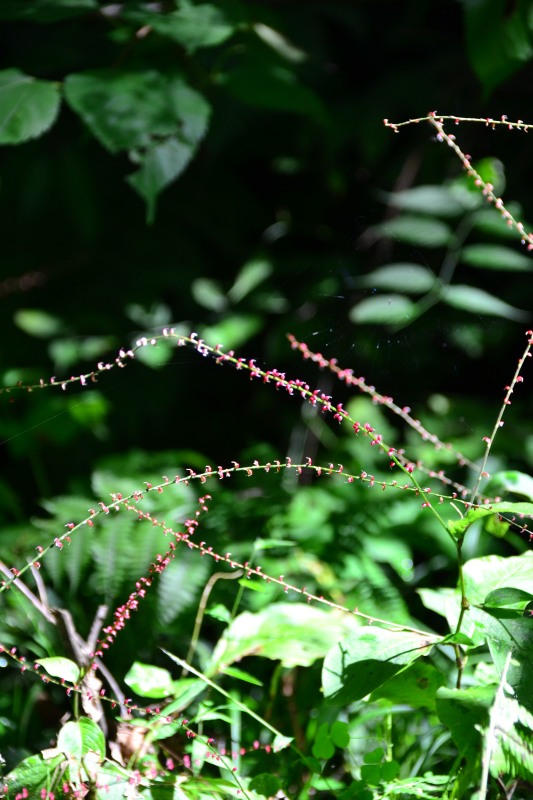 f:id:y3575t3545:20211021113030j:plain