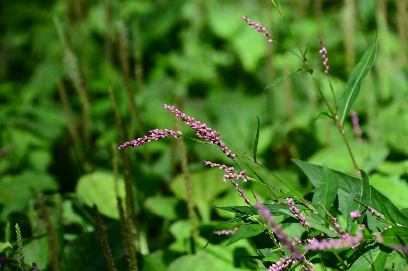 f:id:y3575t3545:20211021113510j:plain