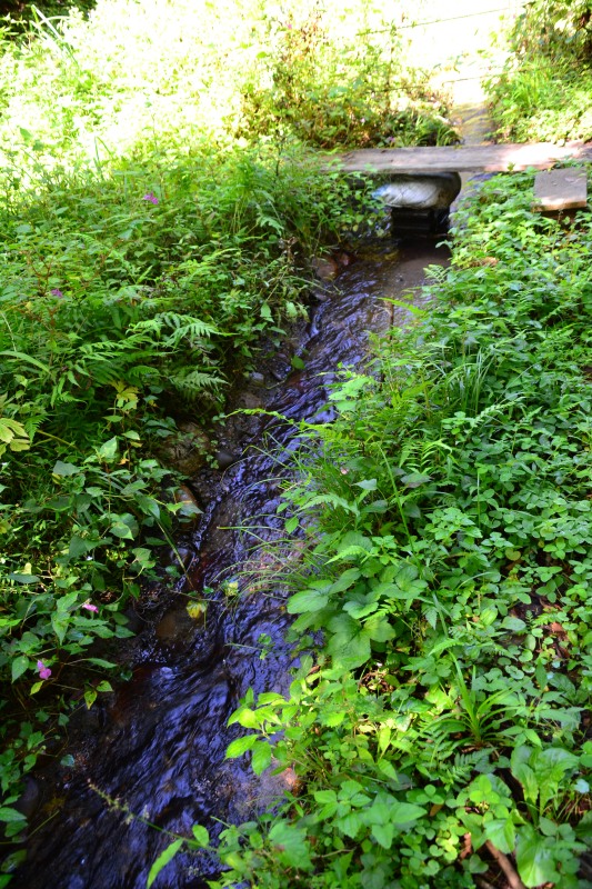 f:id:y3575t3545:20211021113542j:plain