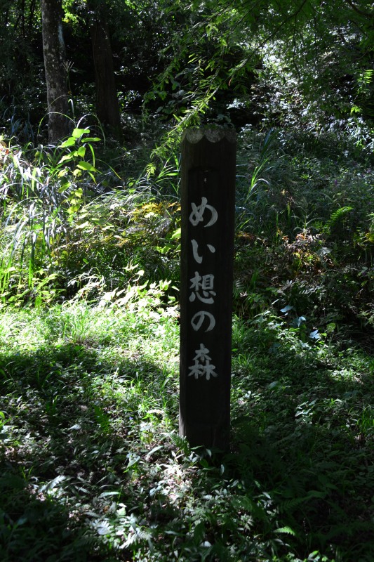 f:id:y3575t3545:20211021114023j:plain