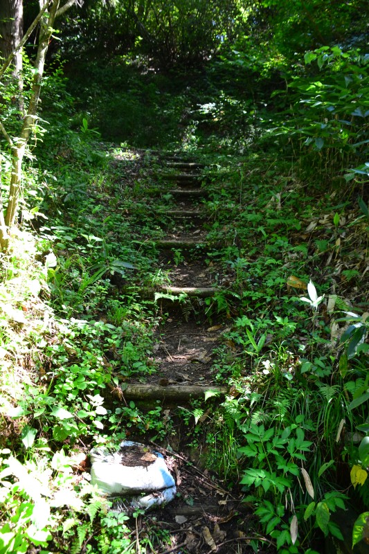 f:id:y3575t3545:20211021114741j:plain