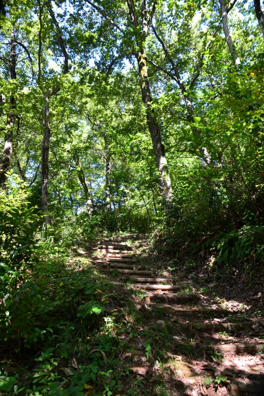 f:id:y3575t3545:20211021114836j:plain