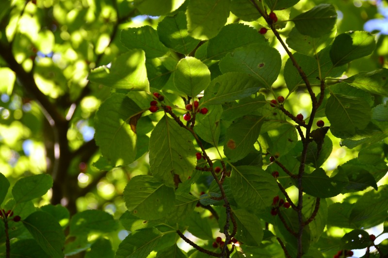 f:id:y3575t3545:20211021115008j:plain