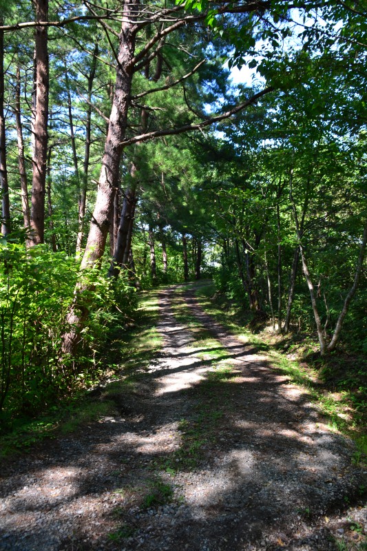 f:id:y3575t3545:20211021115730j:plain