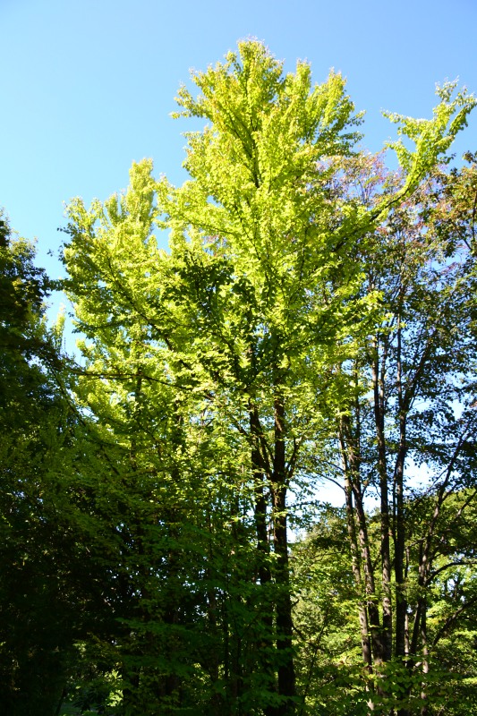 f:id:y3575t3545:20211021120057j:plain