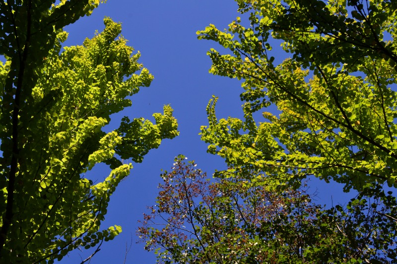 f:id:y3575t3545:20211021120059j:plain