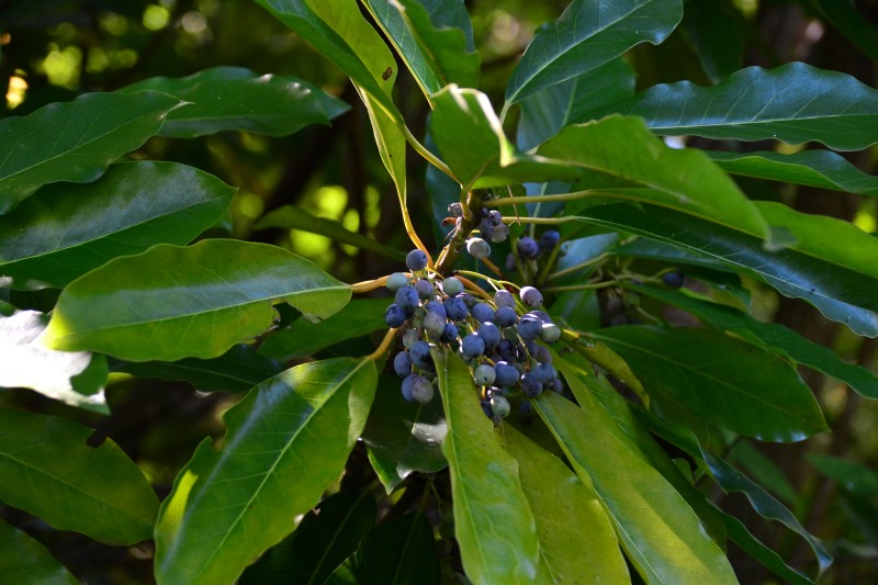 f:id:y3575t3545:20211021120836j:plain