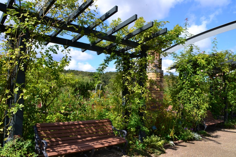 f:id:y3575t3545:20211025155229j:plain