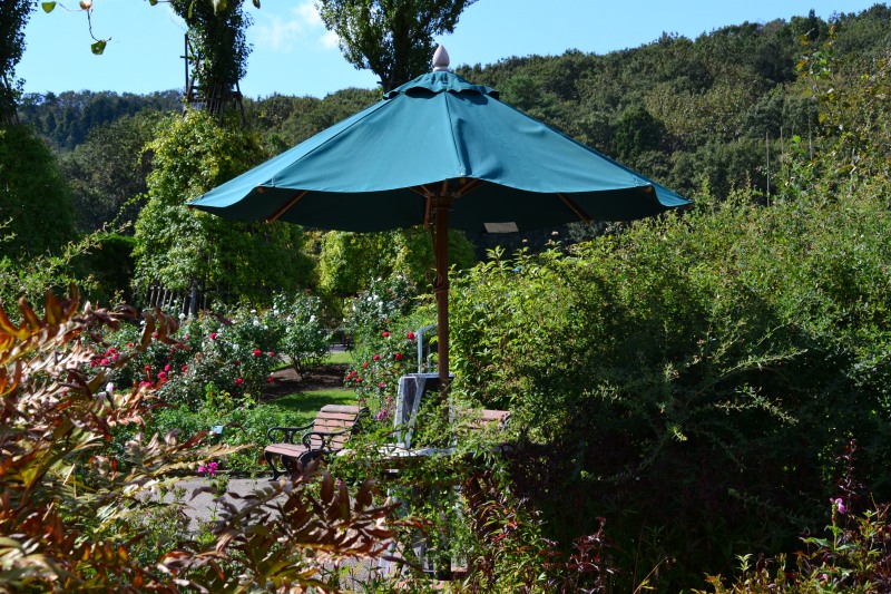 f:id:y3575t3545:20211025155236j:plain