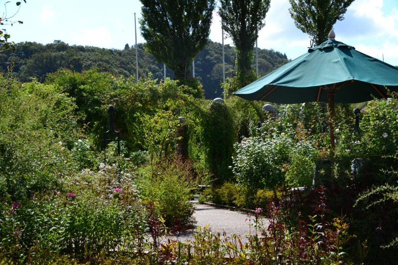 f:id:y3575t3545:20211025155405j:plain