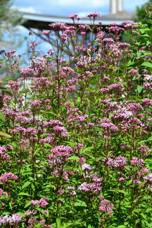 f:id:y3575t3545:20211025155704j:plain