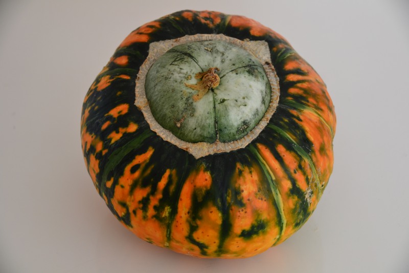 f:id:y3575t3545:20211103164740j:plain