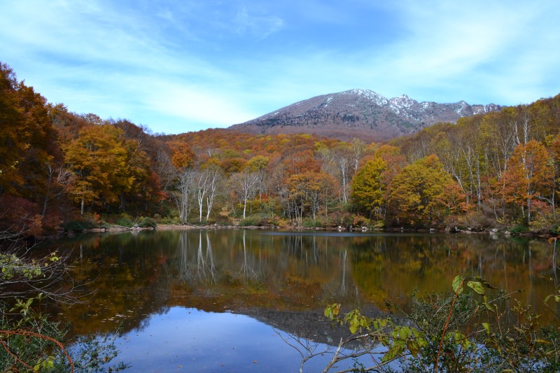 f:id:y3575t3545:20211128203840j:plain