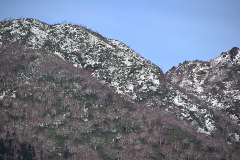 f:id:y3575t3545:20211128203846j:plain