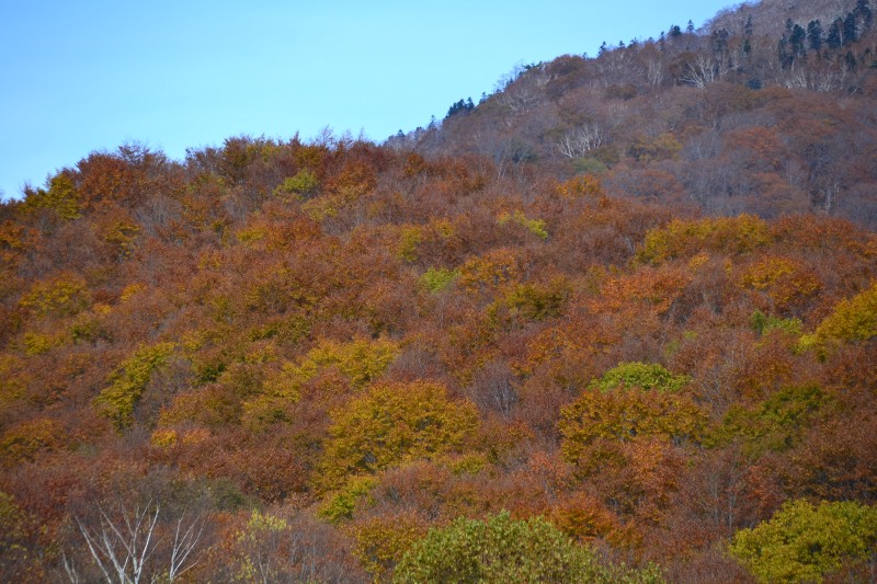 f:id:y3575t3545:20211128203925j:plain