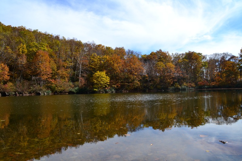 f:id:y3575t3545:20211128204719j:plain