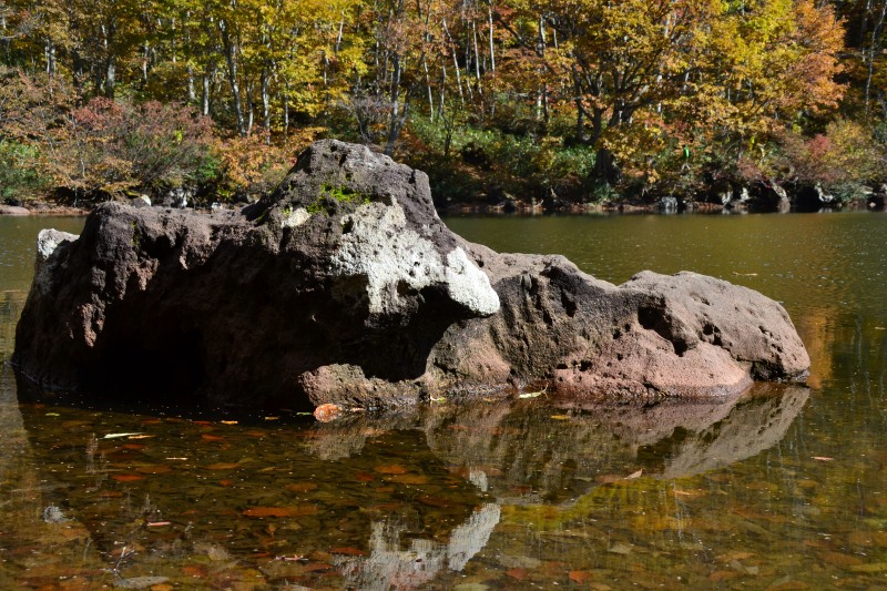 f:id:y3575t3545:20211128205100j:plain