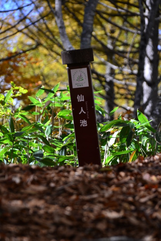 f:id:y3575t3545:20211128205302j:plain