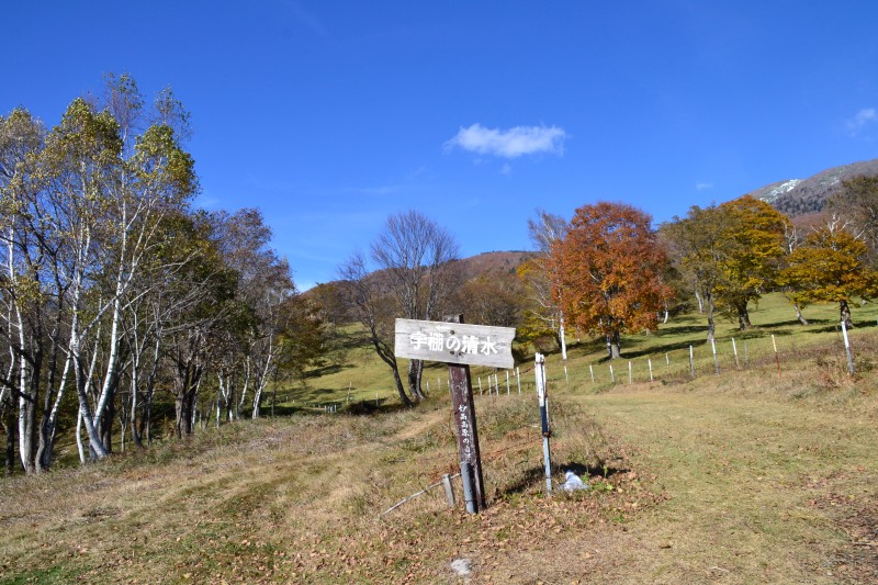 f:id:y3575t3545:20211205152130j:plain