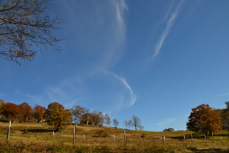 f:id:y3575t3545:20211205152259j:plain