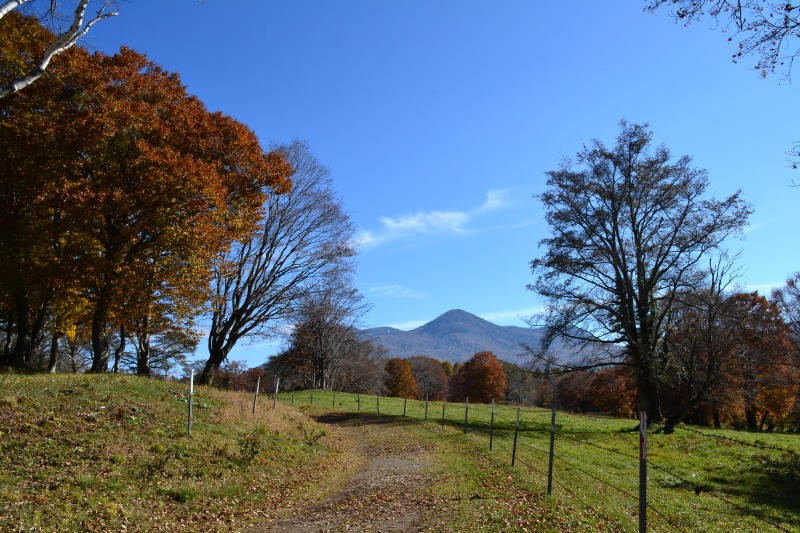 f:id:y3575t3545:20211205154519j:plain