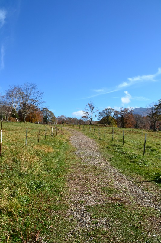 f:id:y3575t3545:20211205154525j:plain