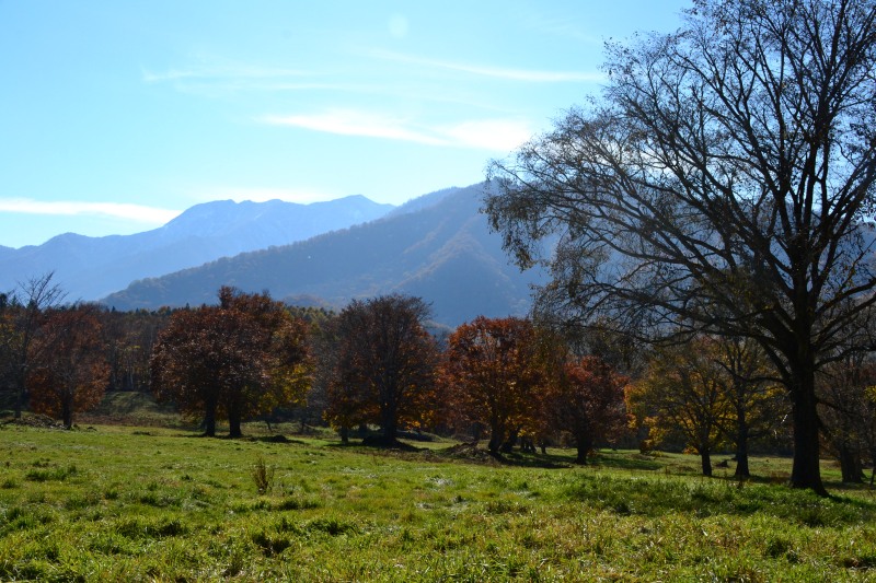 f:id:y3575t3545:20211205154535j:plain