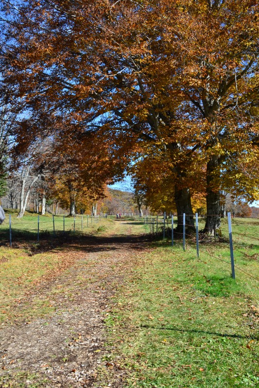 f:id:y3575t3545:20211205154805j:plain