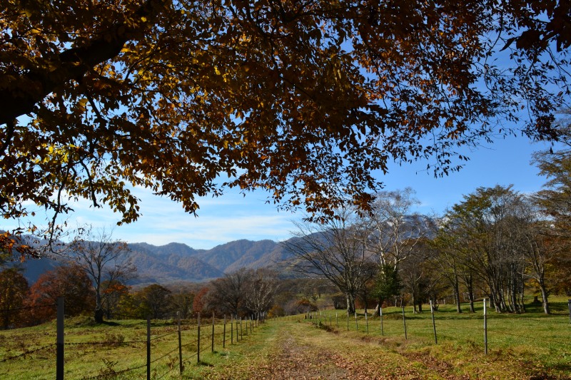 f:id:y3575t3545:20211205155420j:plain