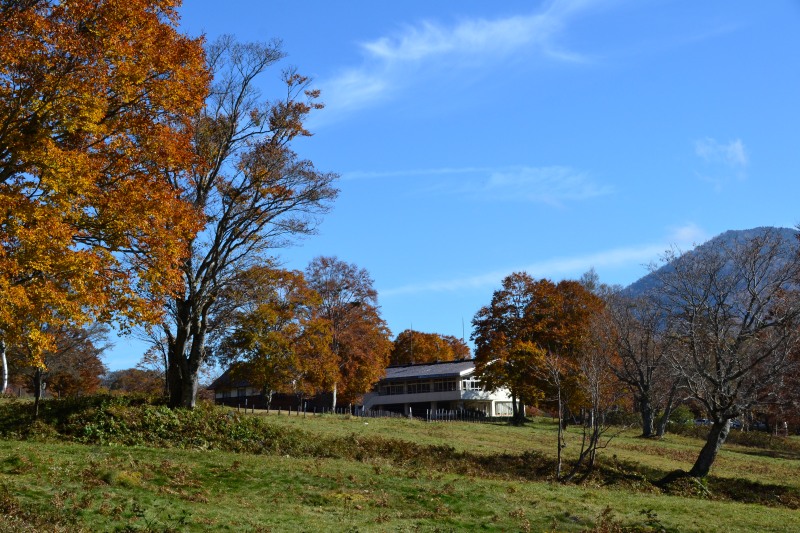 f:id:y3575t3545:20211205155531j:plain