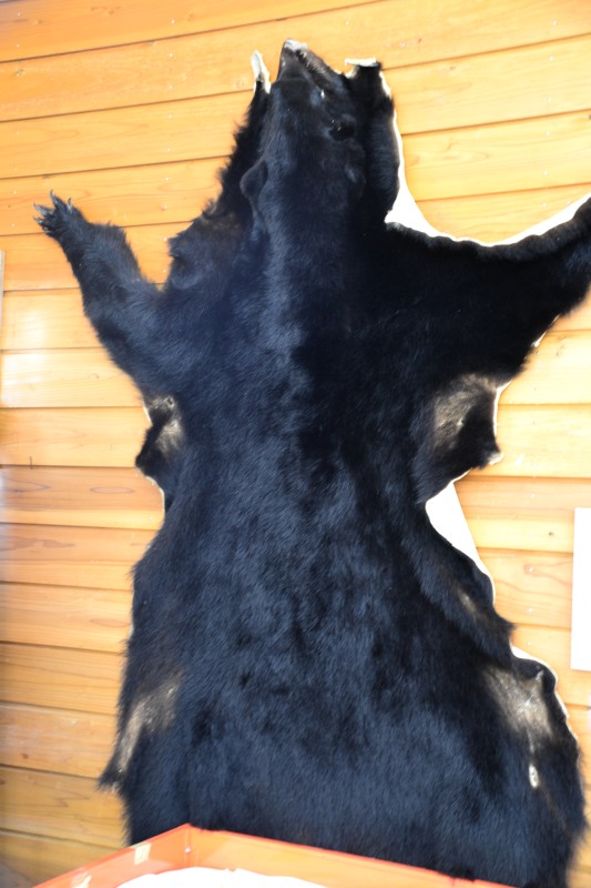 f:id:y3575t3545:20211205155804j:plain